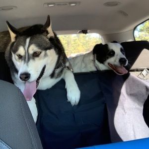 Meet your Posher, Sandy